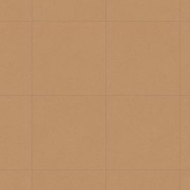 1726 Urban street amber